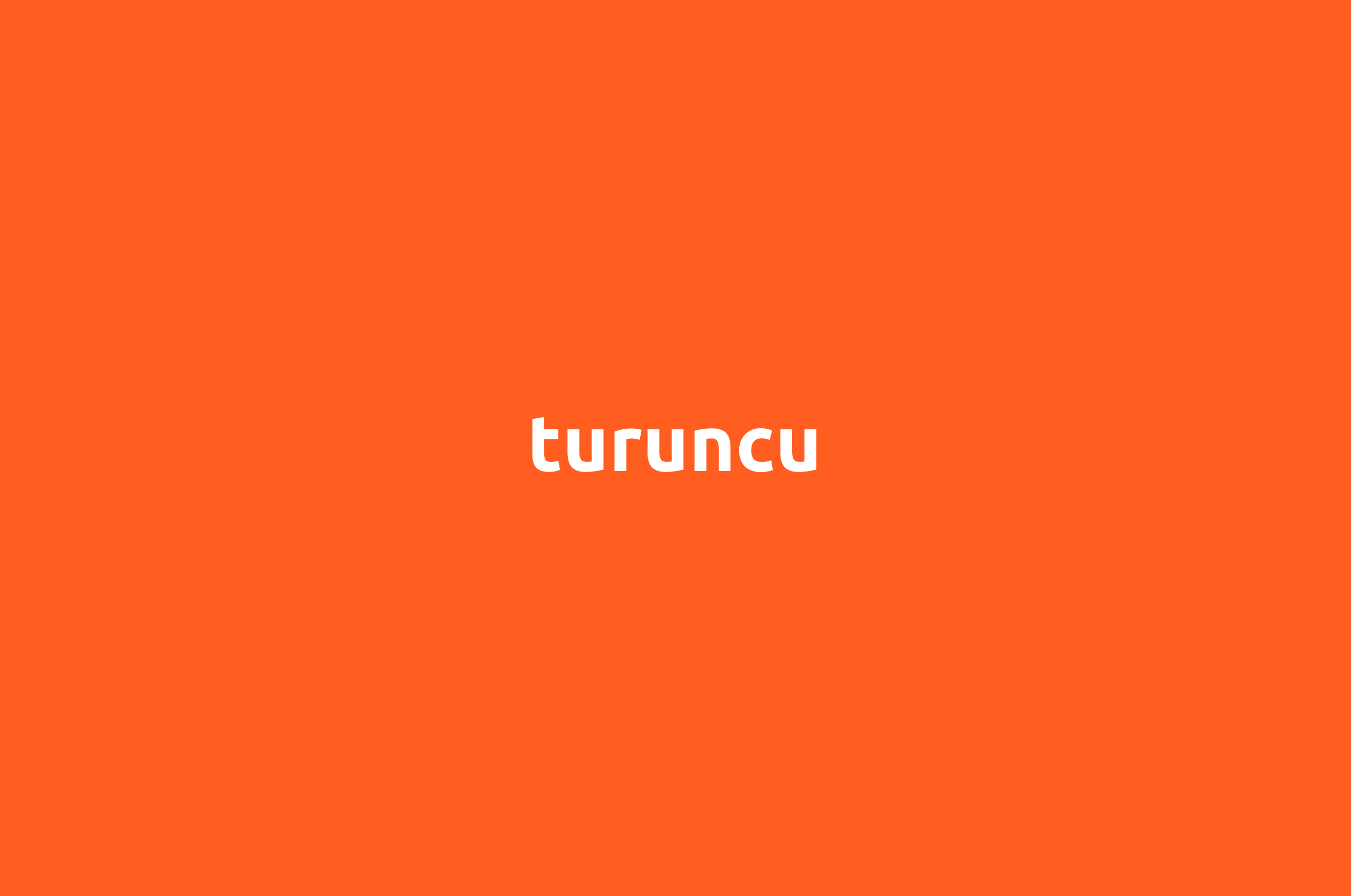 Turuncu: Fintech ve Yapay Zeka Danışmanlığında Yeni Güç